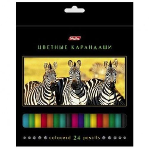 BKc_24270 Карандаши цветные Hatber 24 цв. ДИКИЙ МИР карт.уп./европодвес заточ