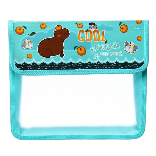 AMp_05048 Папка для тетрадей Пластиковая А5ф Hatber 1 отделение 240х205х40мм на липучке-Реально крутой Капибара-  в индив.упак.