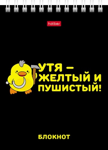 40Б6В1гр Блокнот 40л А6ф клетка Обл. мел.картон УФ-лак на гребне серия -УтяКря-