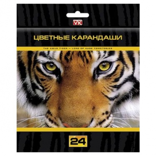 BKc_24309 Карандаши цветные "VK" 24 цв. Дикие звери с заточ.   в карт.короб. с европодвесом