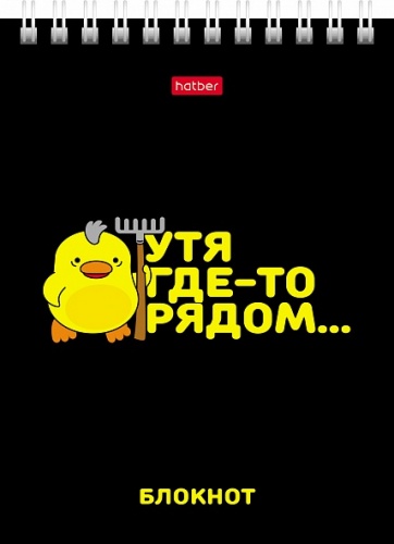 40Б6В1гр Блокнот 40л А6ф клетка Обл. мел.картон УФ-лак на гребне серия -УтяКря-