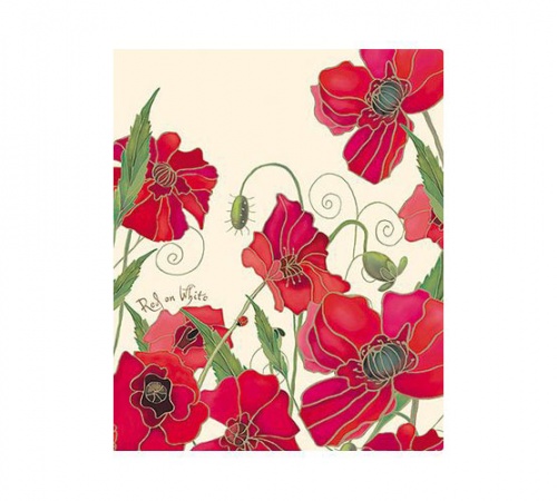 4AB4_10642 "HD" Папка Пластиковая на 4-х кольцах А4ф корешок 25 мм-Red on White-